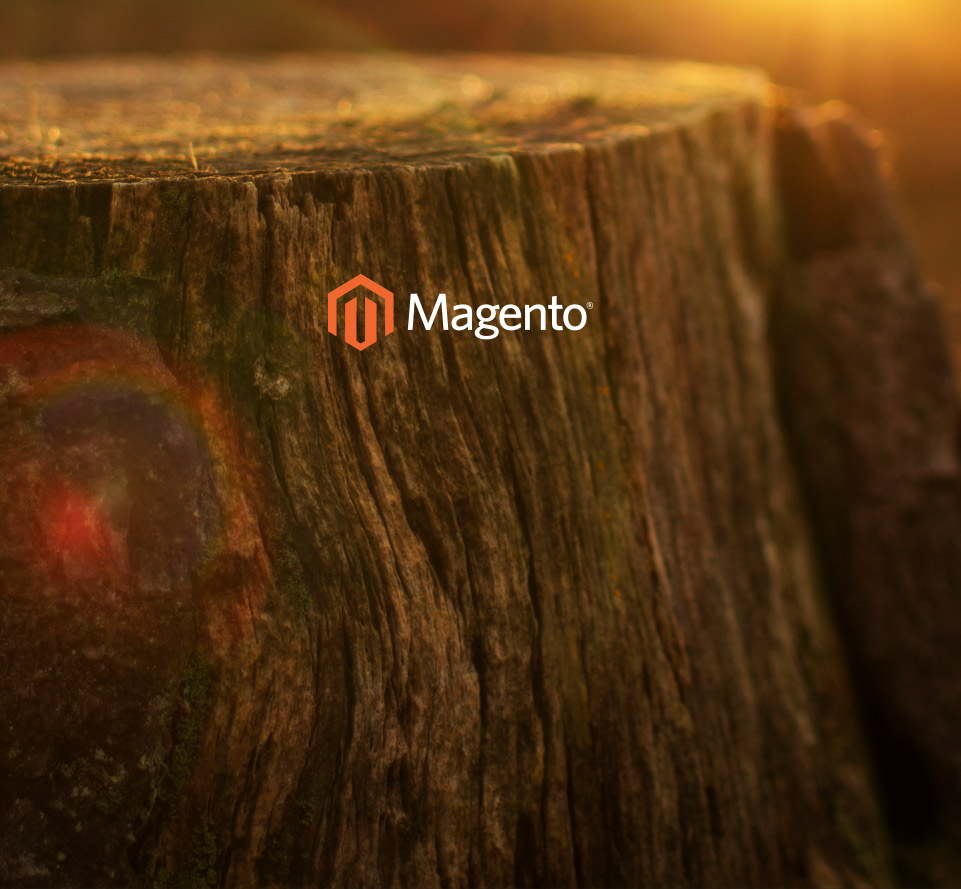 magento - Une plateforme robuste